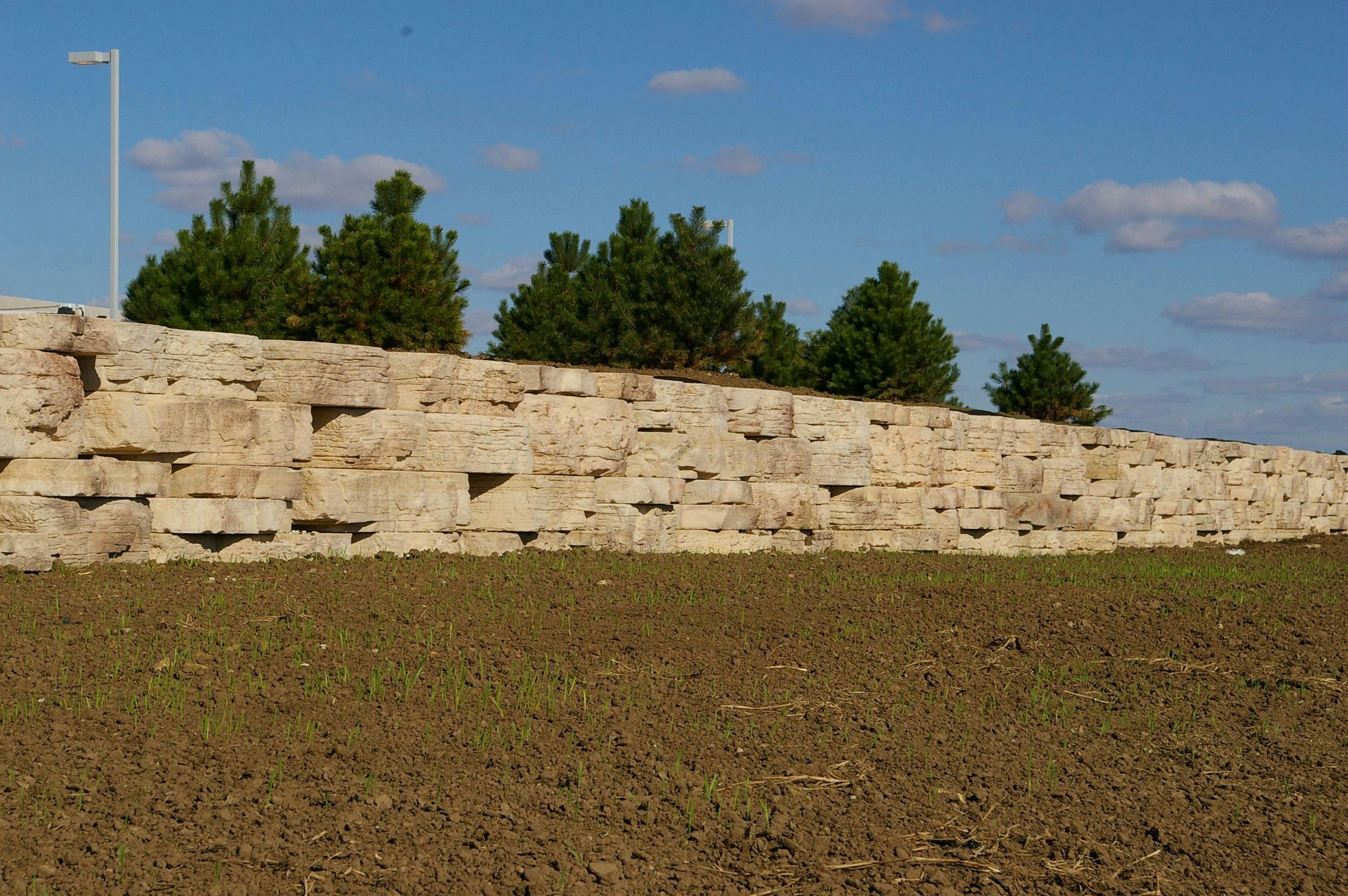 Rosetta Wall Creates Sustainable Solutions