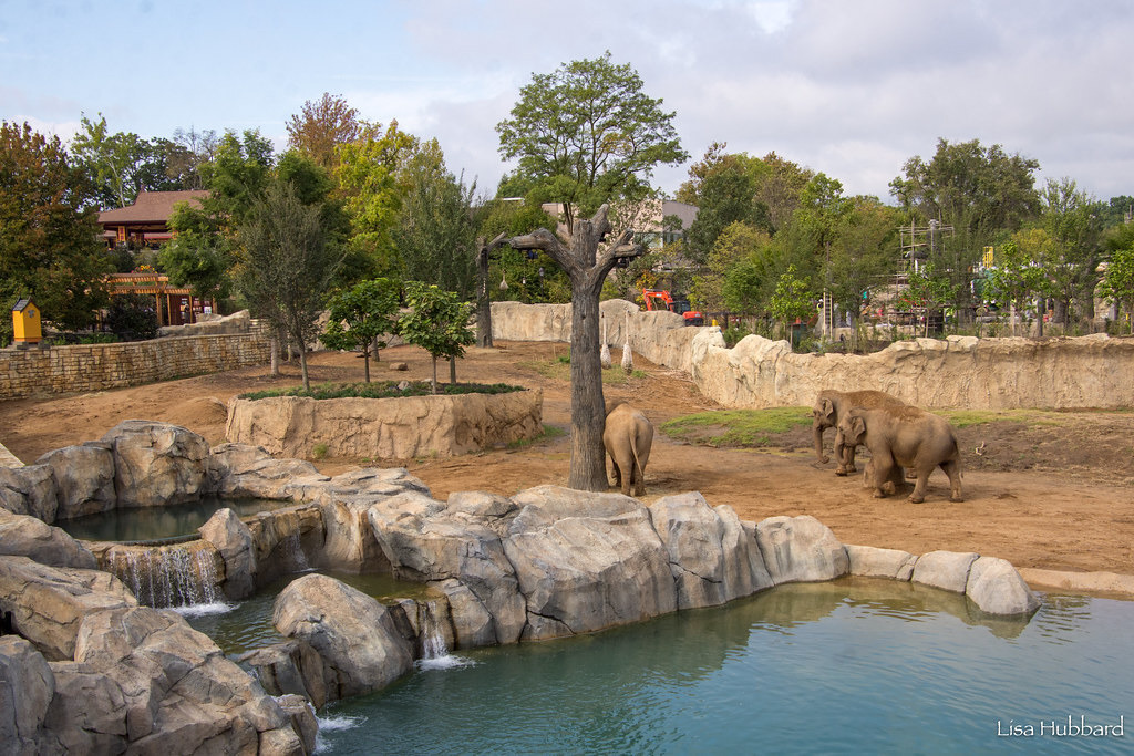 image of Cincinnati Zoo Elephant Trek