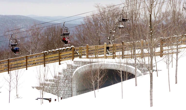 Cobblestone bridge and tunnel on ski hill