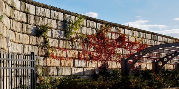 A Limestone texture retaining wall stands tall as ivy grows up it's height