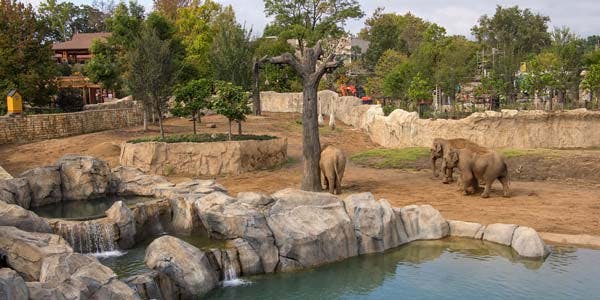 Redi-Rock walls at Cincinnati Zoo Elephant Trek