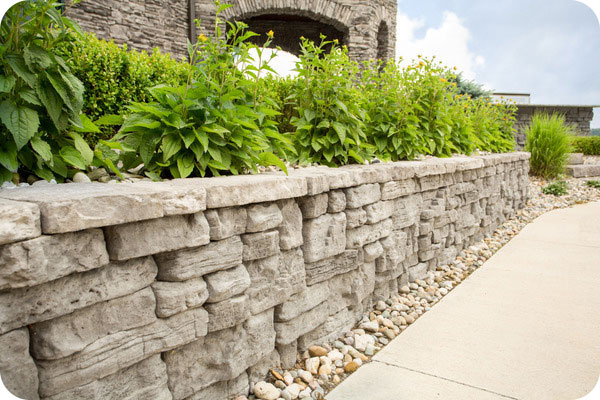 belvedere wall with plants