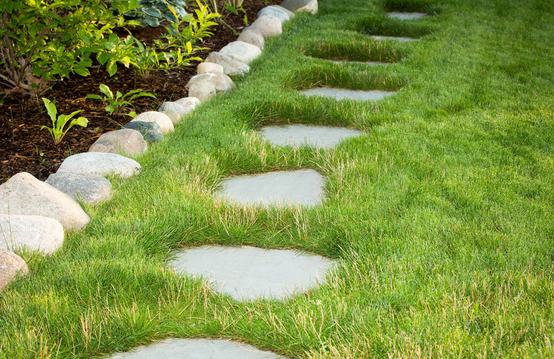 superior steppers on grass in backyard near plants