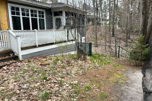 image of backyard area (before)