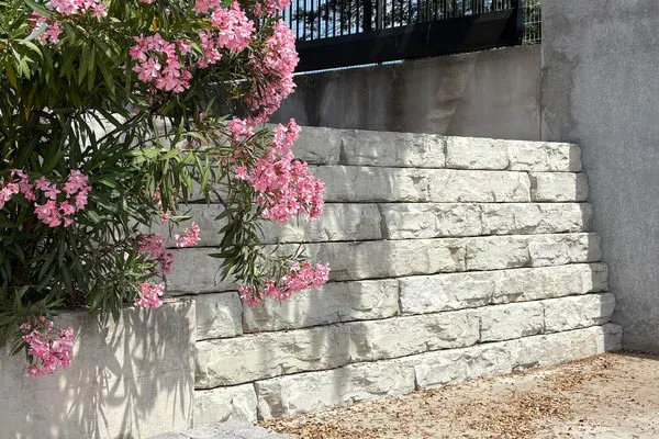 rosetta grand ledge wall