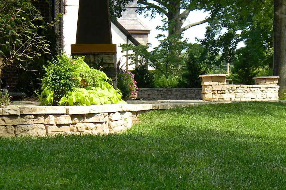 Homeowners landscape front yard with Rosetta