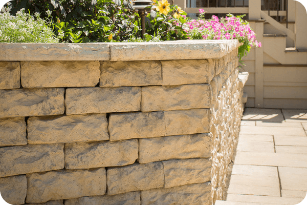 dimensional wall with plants and flowers on top