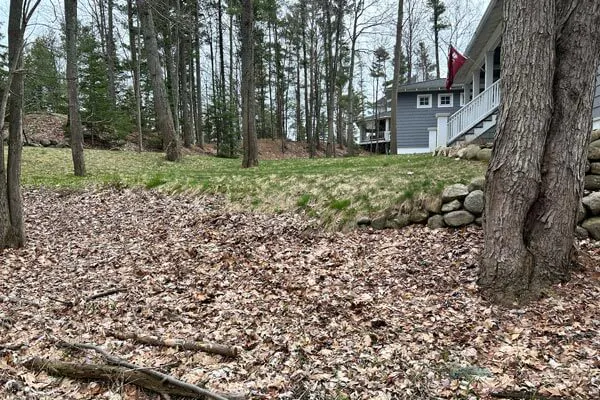 image of front yard of home