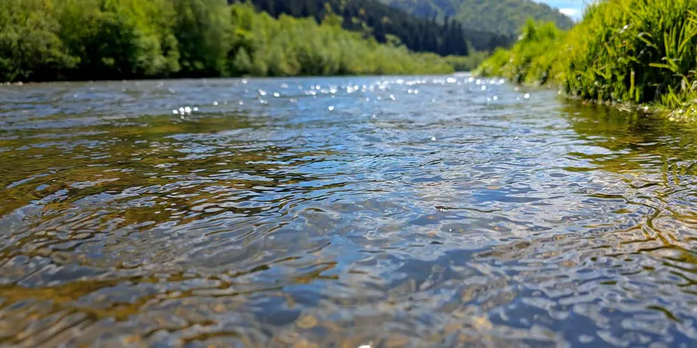 stream