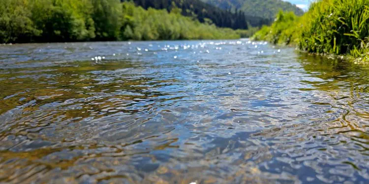 stream