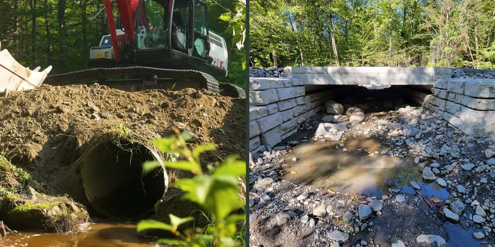 before and after images