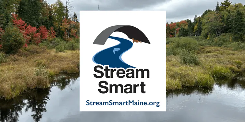stream smart